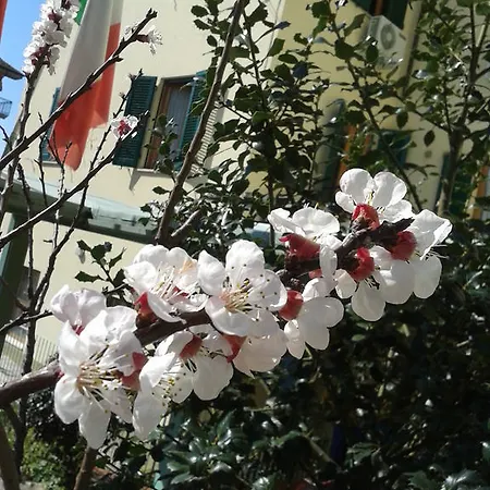 Hotel Rita Montecatini Terme